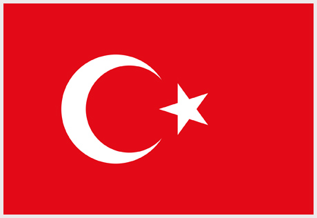 AYYILDIZ PARTİSİ